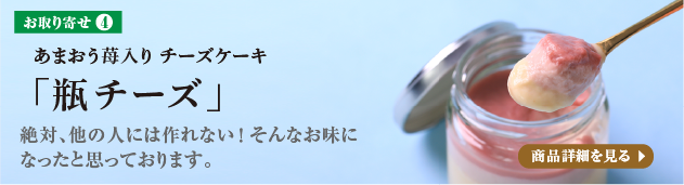 ܂䕓`[YP[Lur`[Yv